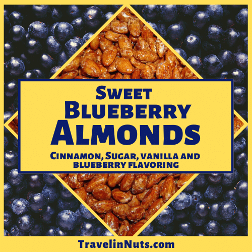 Sweet Blueberry Almonds